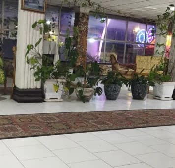 Bandar-anzali-Abshar