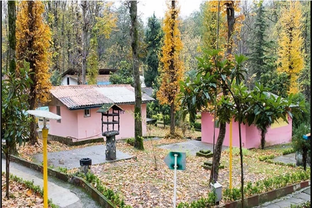 image-gallery